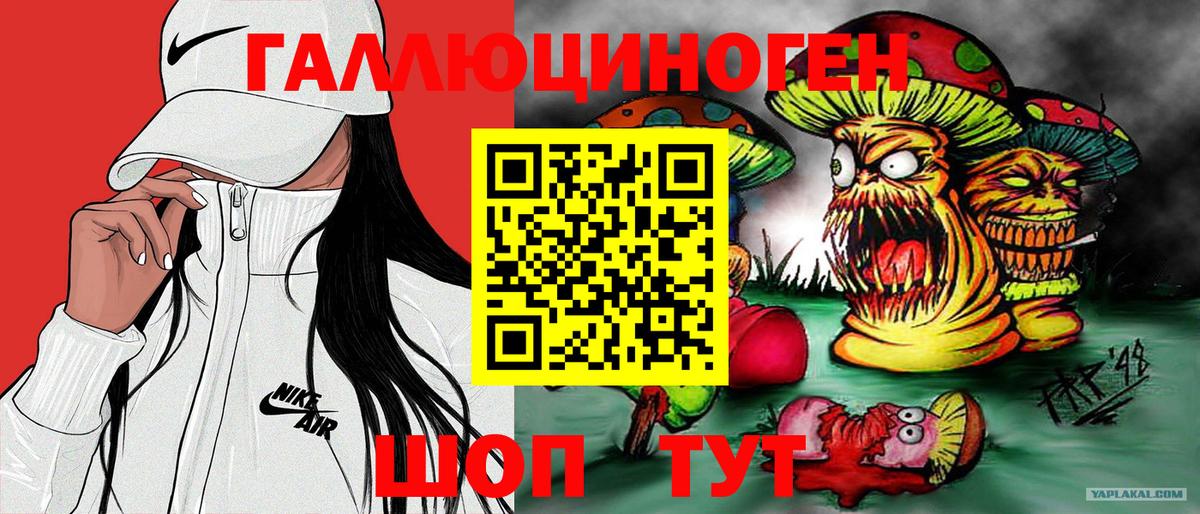 Псилоцибиновые грибы мицелий Фурманов